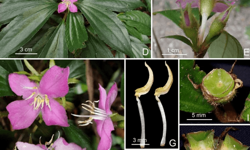  Phát hiện gây chú ý ở Quảng Trị: 