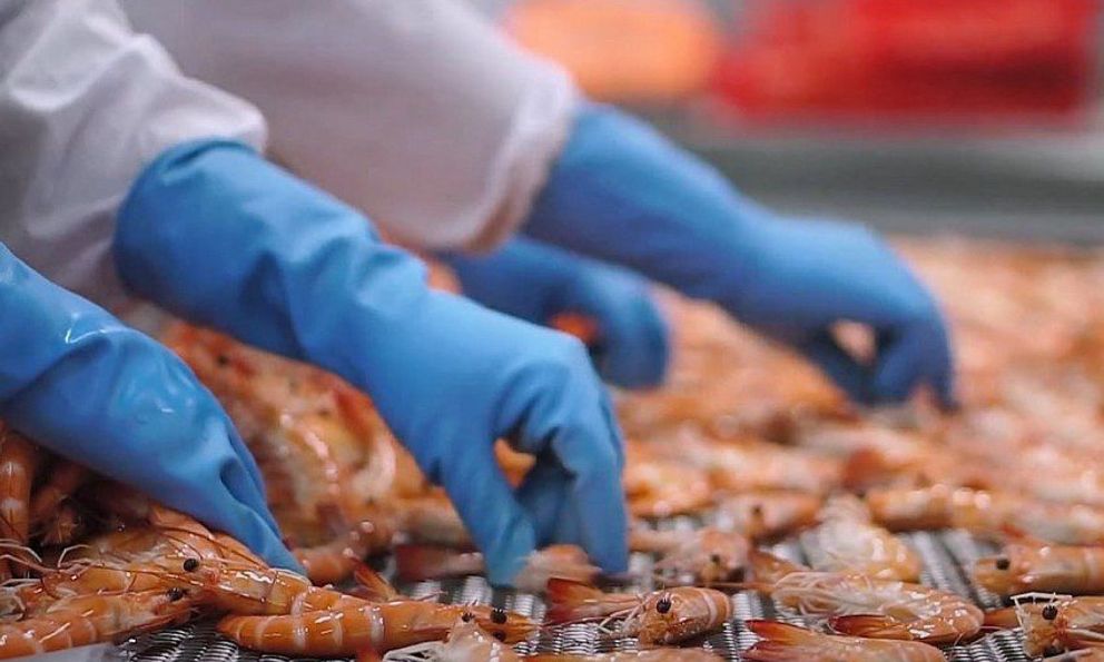 Việt Nam làm chủ công nghệ có thể gia tăng sức mạnh cho ngành xuất khẩu tỷ USD