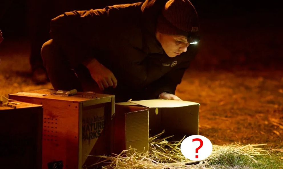 Loài vật từng bị tuyên bố tuyệt chủng bất ngờ 