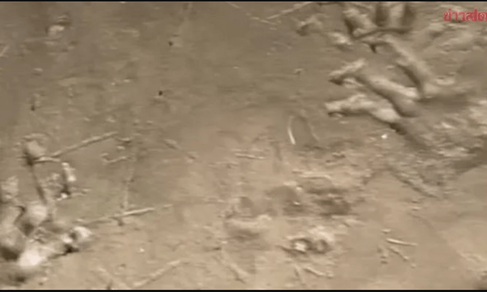 Bờ sông xuất hiện hàng loạt dấu chân lạ, chuyên gia vừa nhìn liền phác họa: 