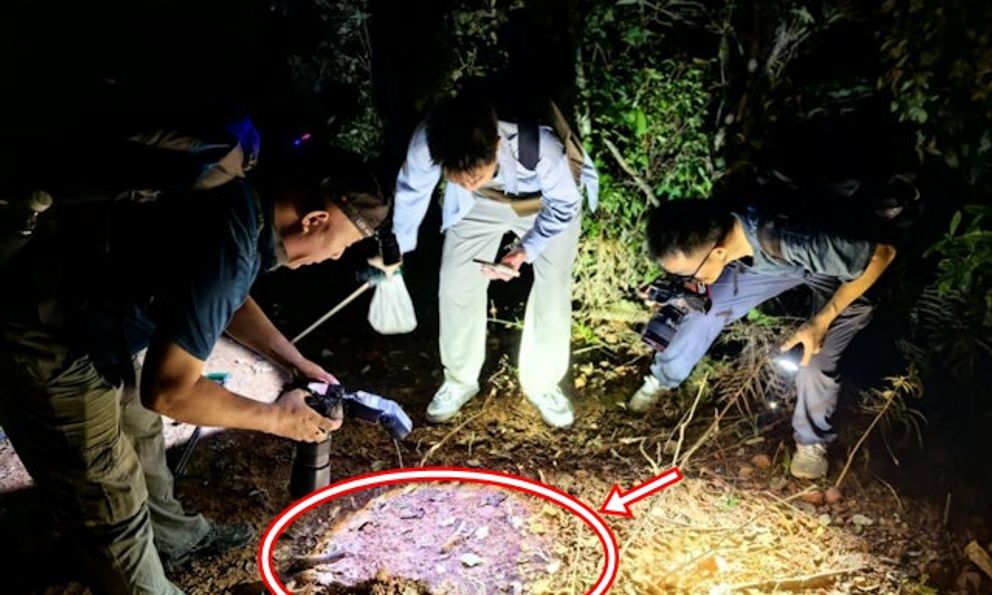Đang khảo sát trong rừng, chuyên gia sững người khi thấy sinh vật 'hai đầu' kỳ lạ: Chưa từng thấy bao giờ