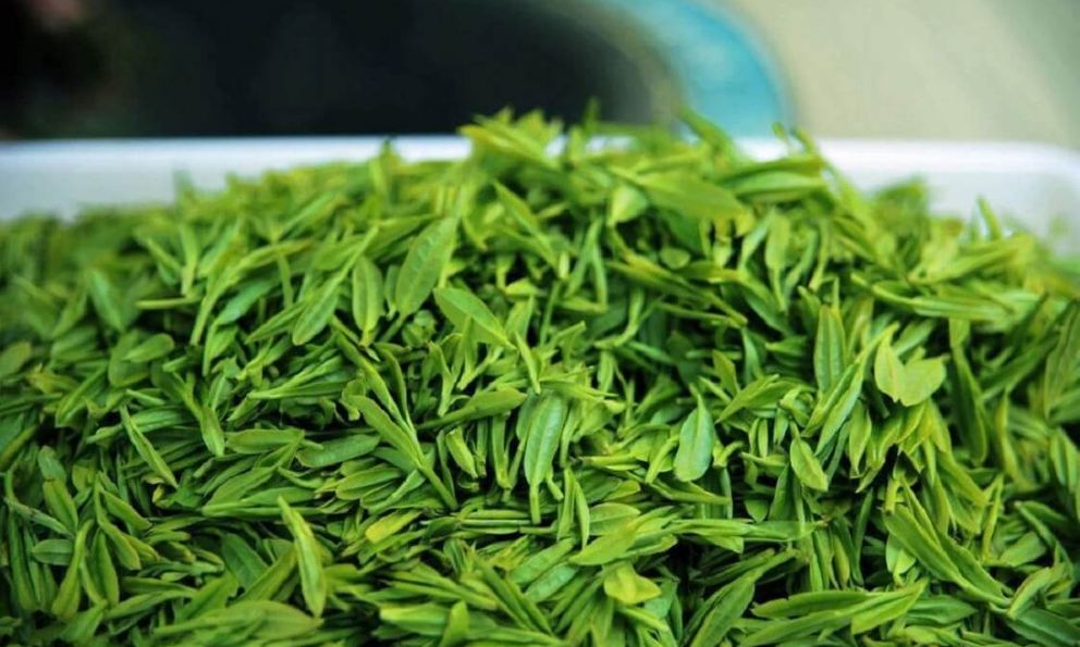 Loại lá chống rụng tóc, kích thích mọc tóc cực hay, dùng hằng ngày phòng cả ung thư: Bán đầy chợ Việt