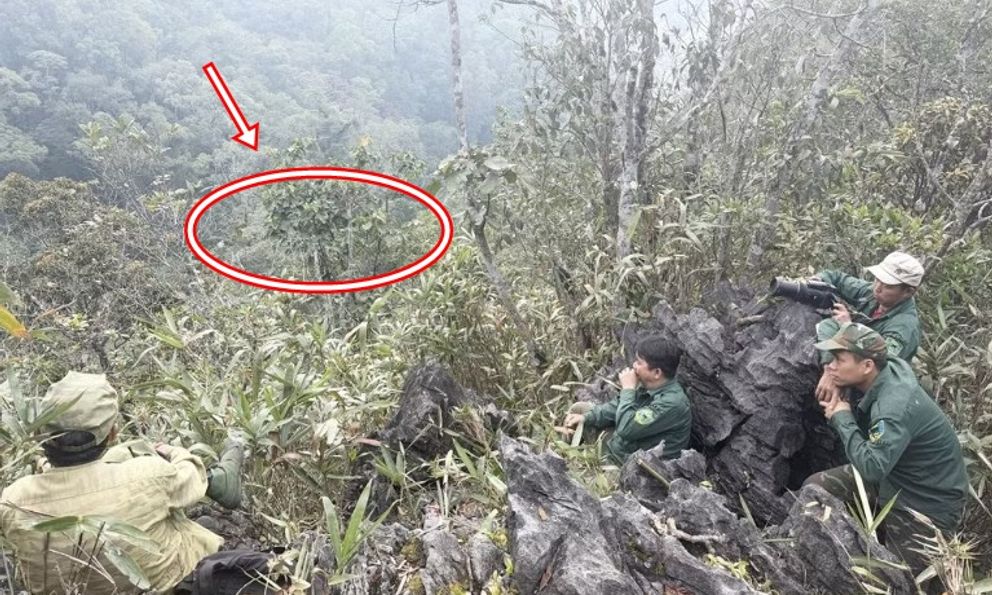 Loài động vật quý hiếm chỉ Việt Nam có, giới khoa học tìm cách 