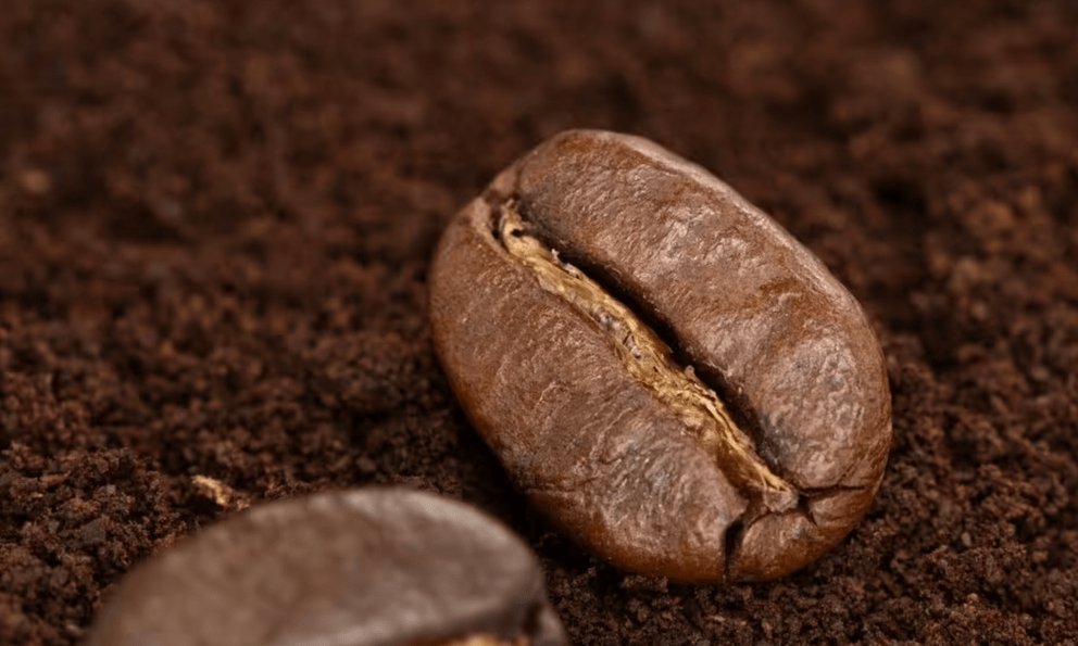 Rắc một nắm bã cà phê quanh gốc cây, điều xảy ra sau đó khiến nhiều người thích thú