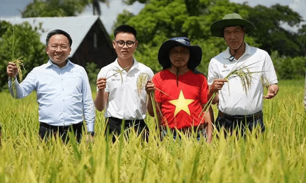 Vượt nửa vòng Trái đất đến Cuba: Kỹ sư Việt bắt tay làm ngay 1 việc, kỳ tích xuất hiện vào tháng 5/2026