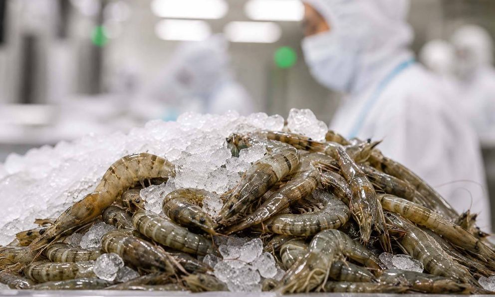 Tin vui từ nền kinh tế số 2 thế giới: Ưa chuộng mặt hàng tỷ USD của Việt Nam, nhập về 343.000 tấn