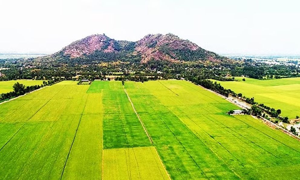 Ngôi làng ở VN mưa xuống có lúc nhặt được vàng: Khai quật hơn 100 cổ vật, 19 món thành bảo vật quốc gia