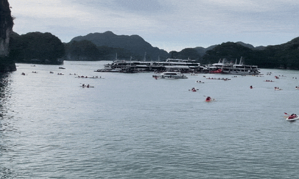 Cảnh tượng ở vịnh Lan Hạ, Cát Bà khiến nhiều người bất ngờ, thốt lên: Không tin vào mắt mình