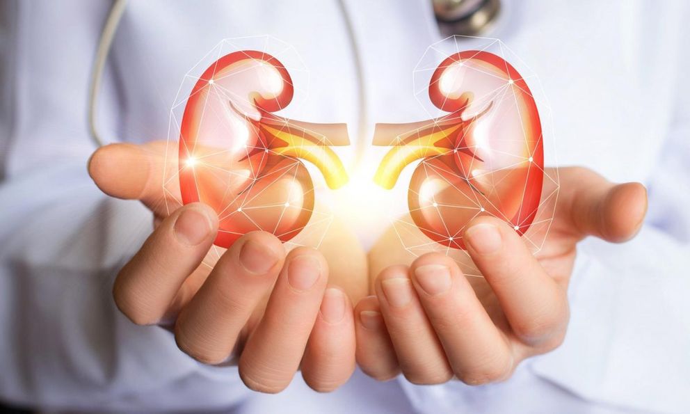 Người có hai quả thận khỏe thường có 8 thói quen này: Làm đủ thì xin chúc mừng!