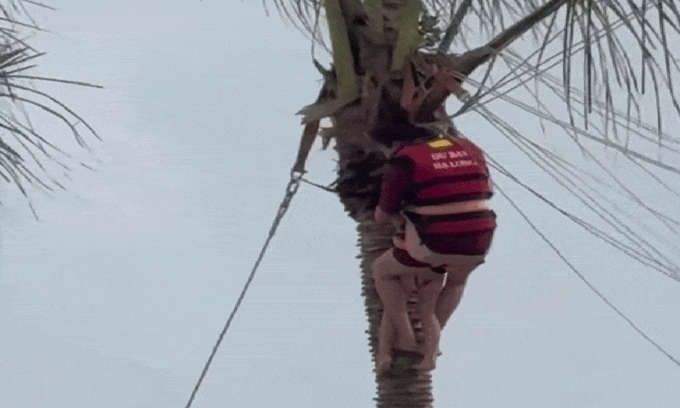 2 mẹ con treo lơ lửng trên cây dừa sau sự cố dù bay ở Hạ Long, tình trạng khi được cứu xuống ra sao?