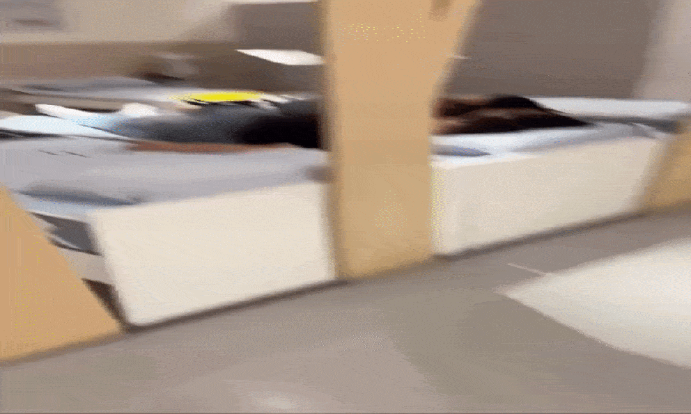 Vào cửa hàng trưng bày đồ nội thất, cặp đôi có hành động khiến ai cũng phải đỏ mặt ngại giùm