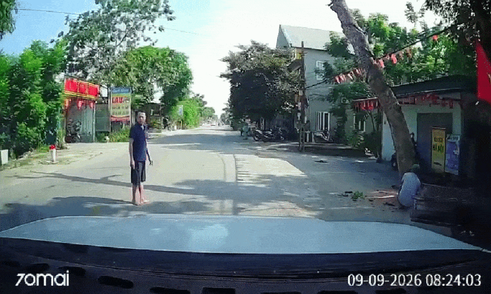 Vụ cưa cây đổ ra đường, đè người đi xe máy tử vong: Công an triệu tập chủ nhà và người cưa cây thuê