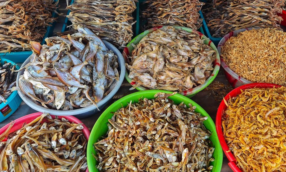 Lời khuyên dành cho tất cả những ai thích ăn cá khô