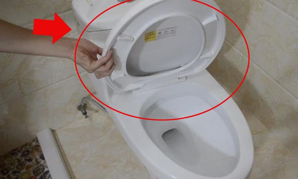 Lời khuyên cho tất cả các gia đình không đậy nắp bồn cầu trước khi xả