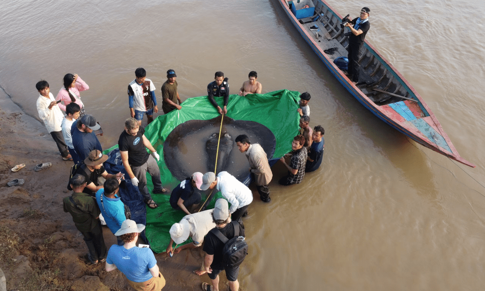 Bắt được 