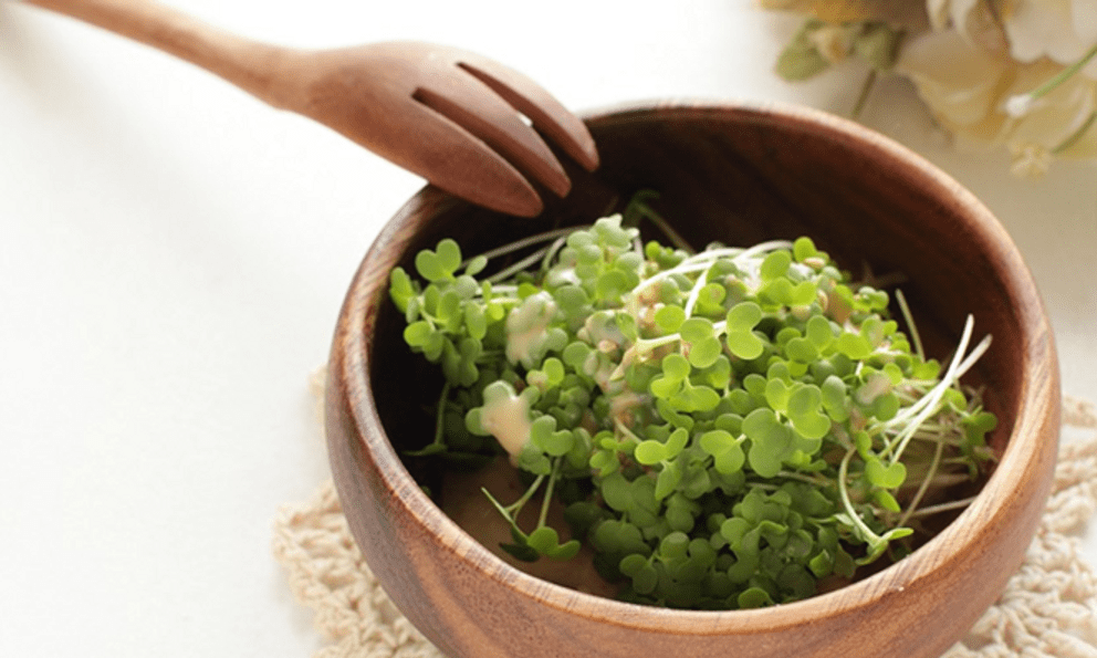 Ăn mầm bông cải xanh mỗi ngày trong 4 tuần, người đàn ông nhận về điều bất ngờ