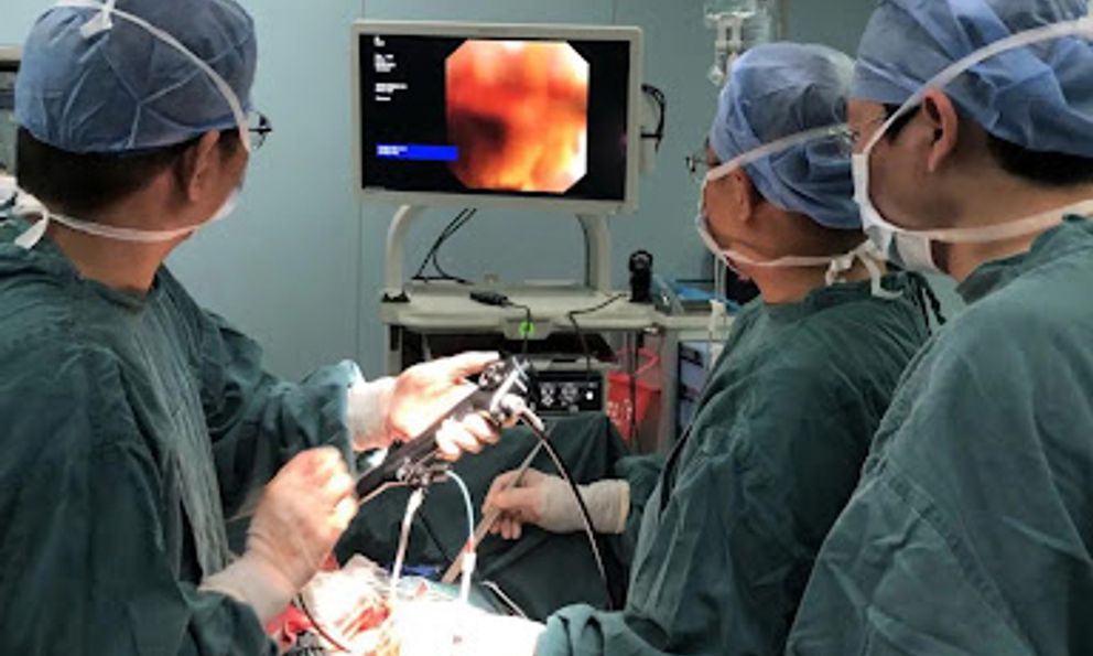 Khám tiêu chảy, người phụ nữ ngỡ ngàng phát hiện túi mật đầy sỏi, khối u 6cm trong bụng