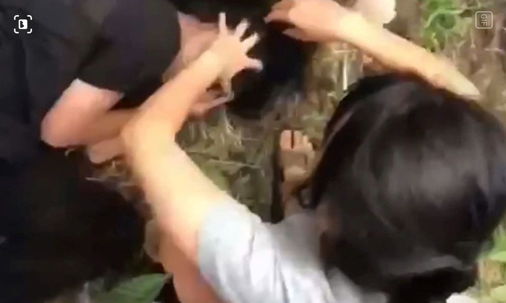 Nữ sinh cấp 2 bị nhóm bạn đánh hội đồng dã man trong rẫy cà phê, quay clip truyền nhau xem