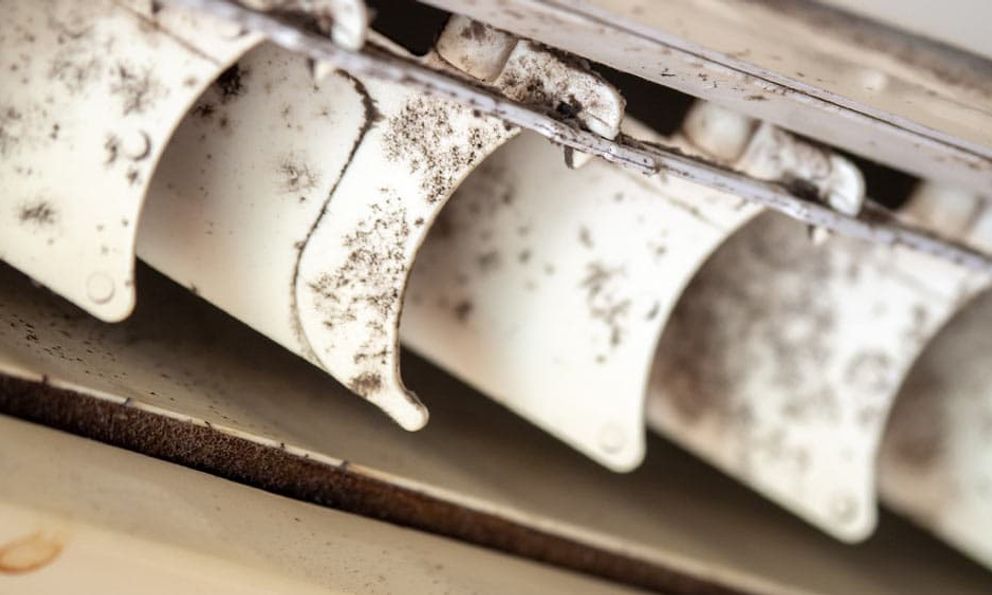 Trong nhà có 5 “ổ bí mật” nuôi nấm mốc, ai sớm tìm ra sẽ tránh được ngộ độc mãn tính, ung thư gõ cửa