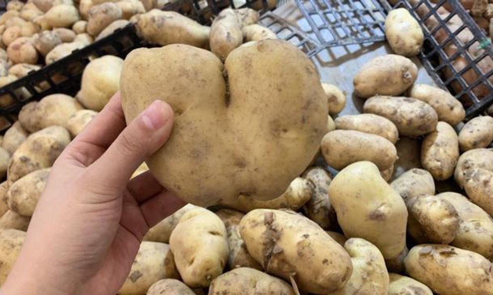 Ra chợ nhớ 5 nguyên tắc “cũ nhưng vàng” này để chọn được khoai tây ngon, bở, giàu dinh dưỡng