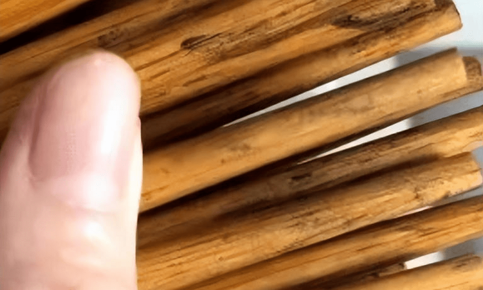 Bác sĩ đến chơi nhà, ngồi vào bàn ăn bỗng thét lên: 