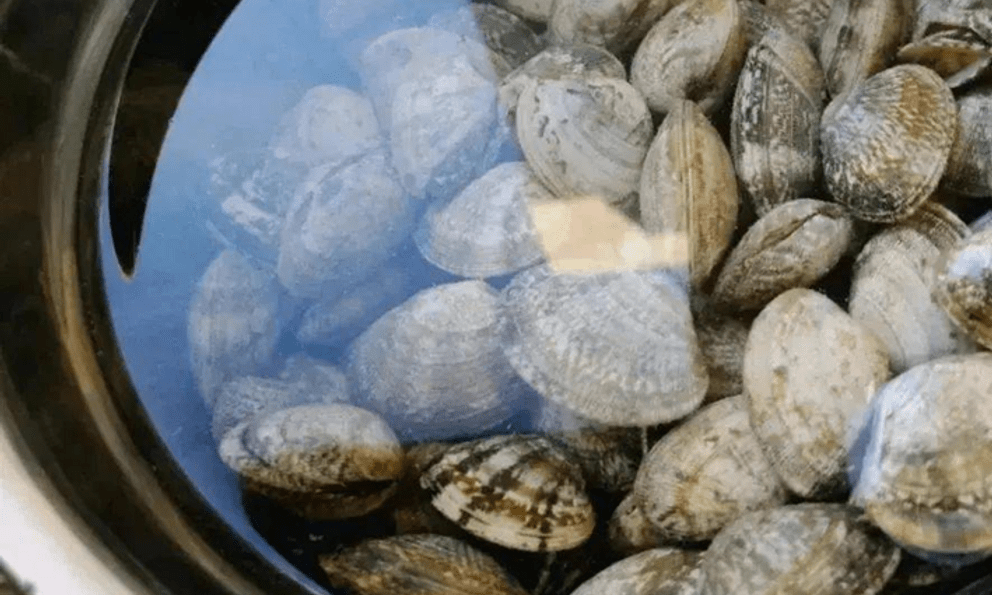 Rửa ngao ốc, người cho ớt, người cho rượu: Tất cả đều sai, người bán hải sản đã dạy tôi mẹo thực sự hiệu quả này