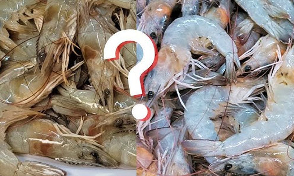 Khi mua tôm, phải “căng mắt” để tránh 5 loại “tôm hormone” độc hại này, người đi chợ lâu năm vẫn dễ nhầm!
