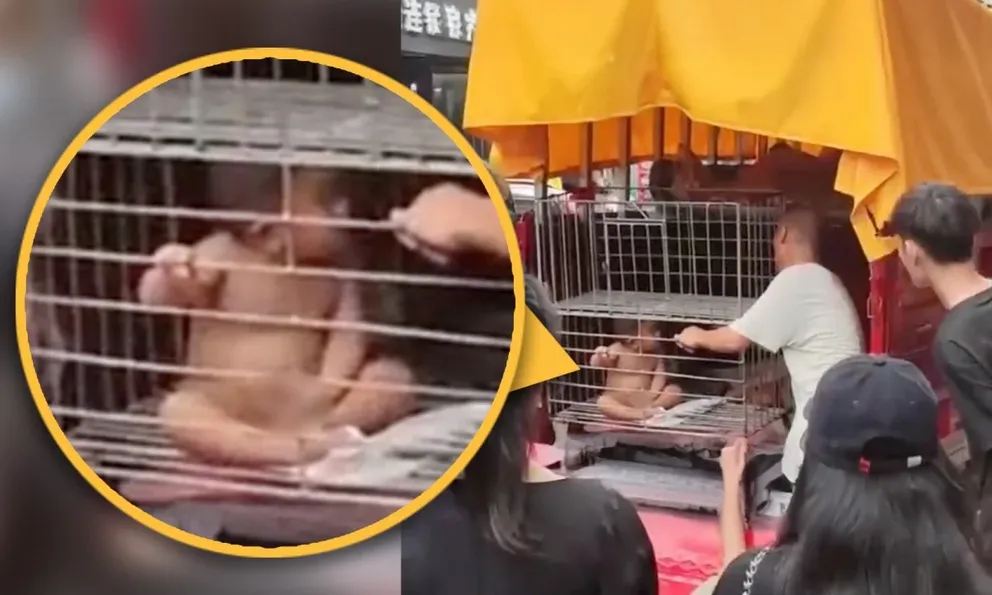 Sốc trước cảnh ông bố nhốt con trai nhỏ trong lồng sắt giữa phố