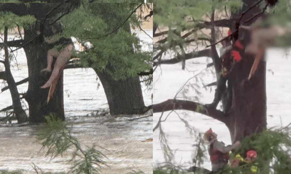 Cô gái bị lũ quét cuốn trôi 32km được tìm thấy trong tình cảnh gây sốc