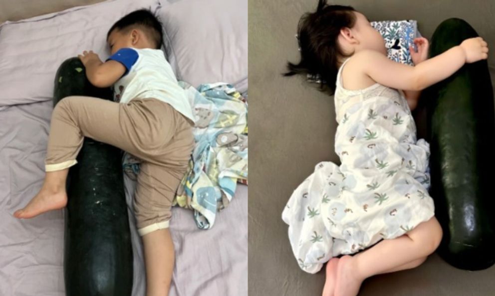 Giải mã trào lưu ngủ chung với… quả bí đao, bác sĩ: Mát, khỏe thật hay giả 4 kiểu người này cũng KHÔNG học theo