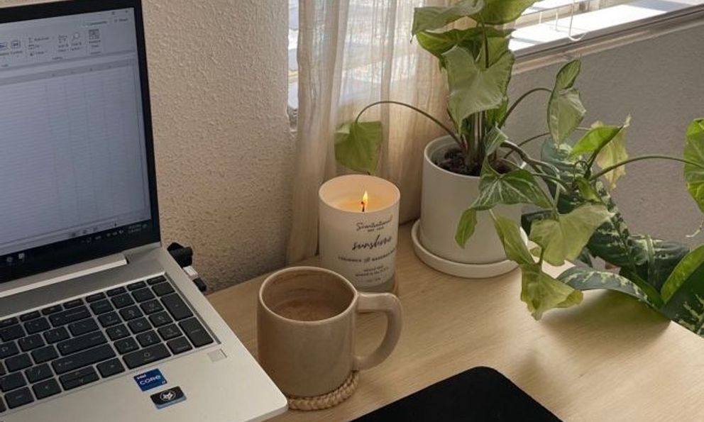 6 loại cây nhỏ xinh nên đặt ở bàn làm việc: Vừa đẹp vừa như “thuốc an thần”, giảm căng thẳng