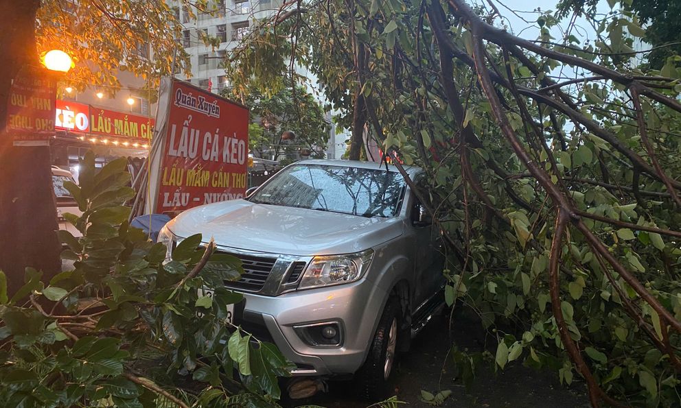 Chùm ảnh: Đường phố Hà Nội tan hoang sau cơn giông kinh hoàng, cây xanh bật gốc và gãy đổ hàng loạt