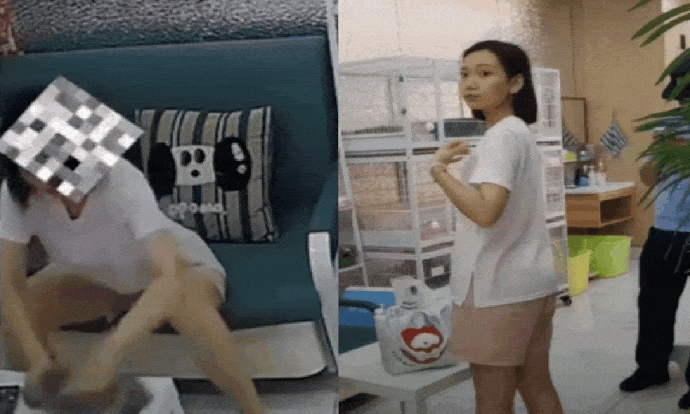 Camera giấu kín ghi lại cảnh hãi hùng tại 1 quán cafe mèo: Cảnh sát vào cuộc