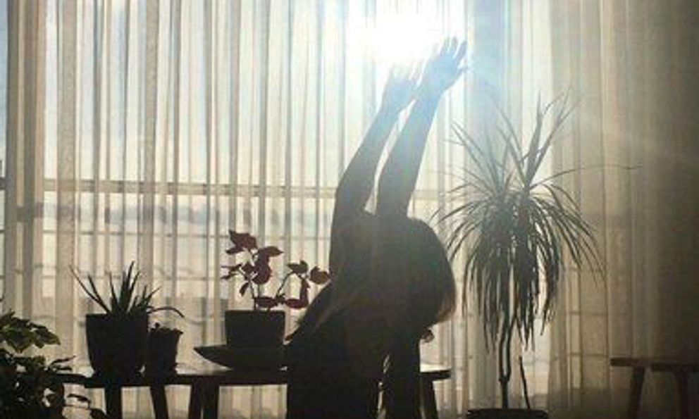 5 động tác yoga buổi sáng chị em bận mấy cũng nên tranh thủ tập: Thải độc, đốt mỡ, cải thiện tâm trạng và xương khớp