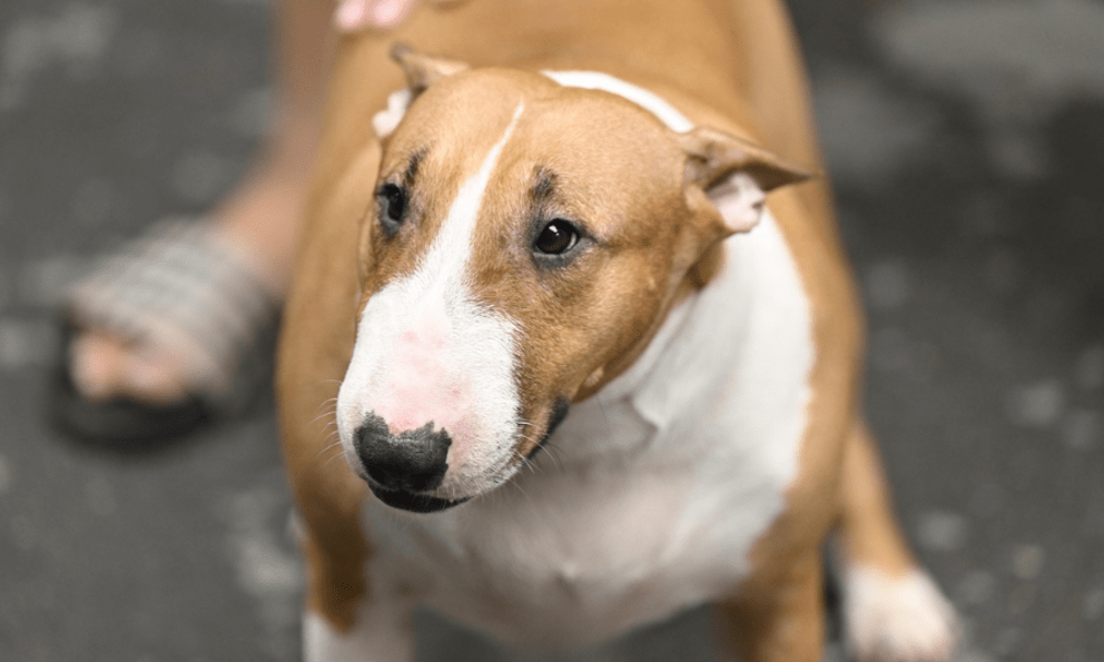 Không quay phim, chụp ảnh “cậu Vàng Mr. Gold” ngoài đời