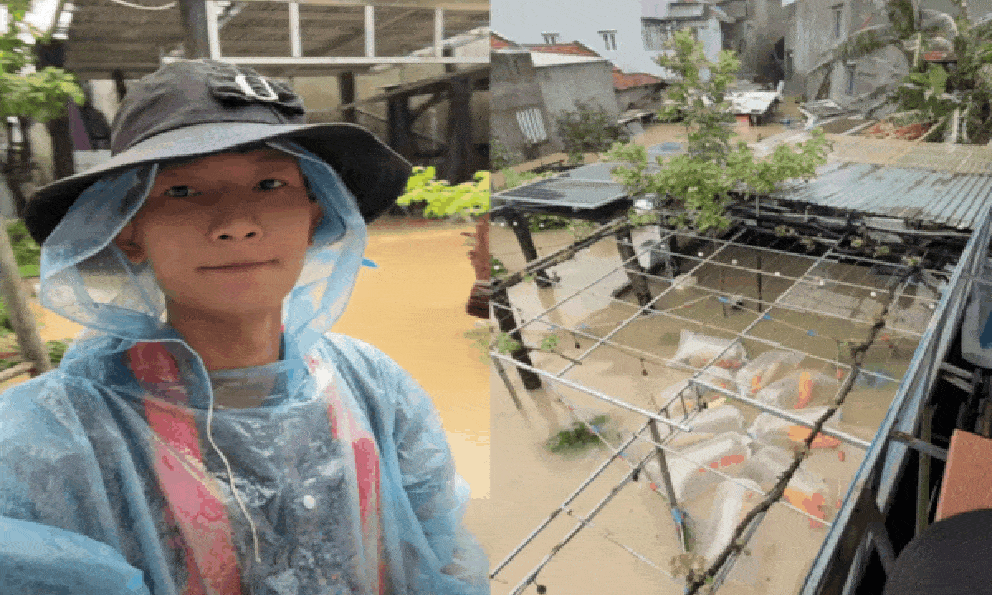 Tin tức mới nhất về đàn cá Koi vài trăm triệu bị nước lũ cuốn trôi ở Đắk Lắk