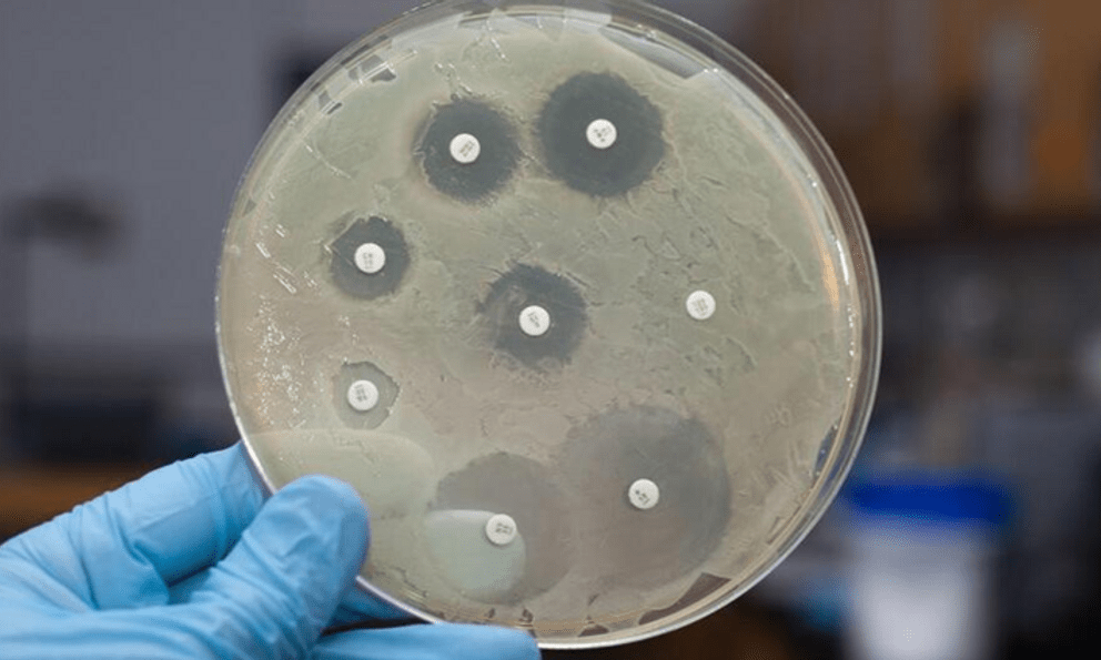 Đối phó mối đe dọa toàn cầu mang tên 