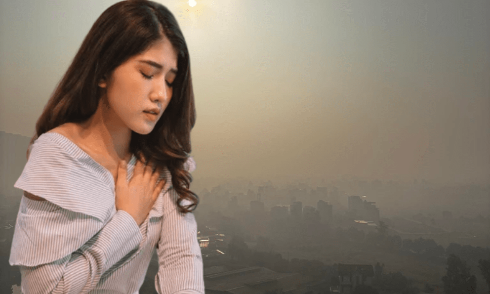 Ở Hà Nội dạo này lạ lắm: 