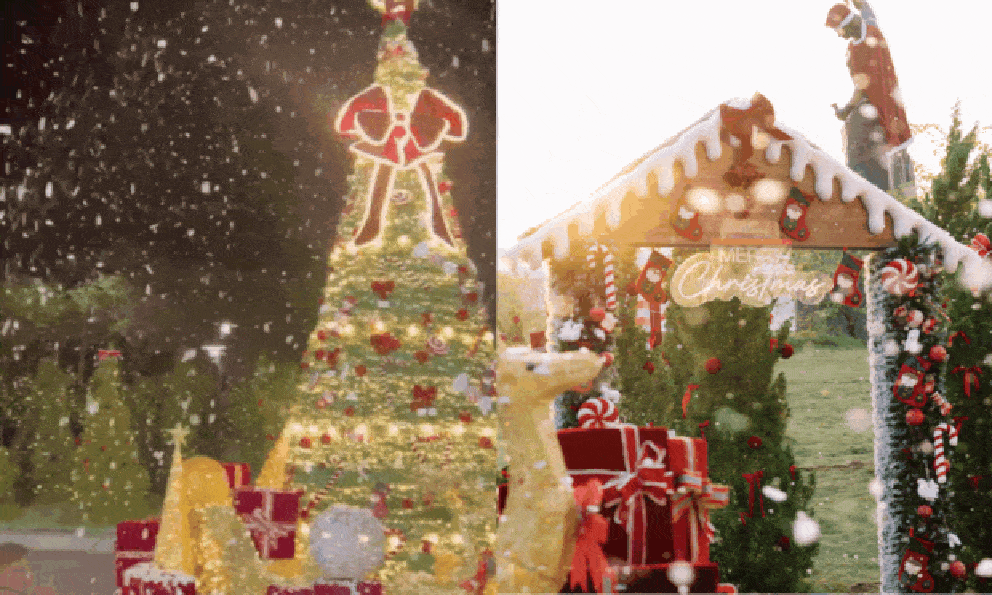 Lướt MXH mấy hôm nay thấy hoài ảnh Noel ở trường này, xem thử có gì mà hot vậy?