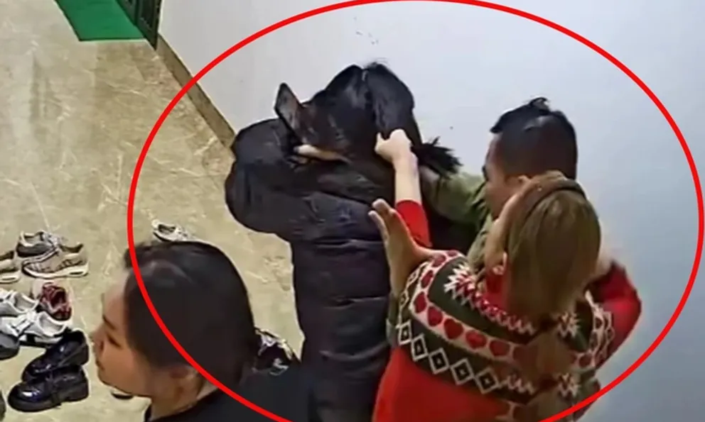 Pháp lý vụ người phụ nữ bị hành hung tại chung cư ở Hà Nội