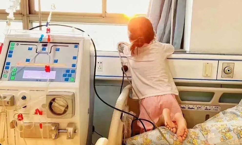 Học sinh lớp 3 qua đời sau 30 ngày phát hiện ung thư thận vì món tráng miệng mềm mềm, thơm ngọt 