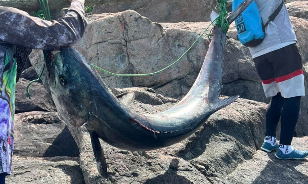 Người đàn ông Đà Nẵng câu được 