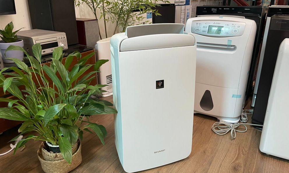 Món đồ hot nhất lúc này, đại lý nhập gấp 10 lần vẫn không kịp bán 