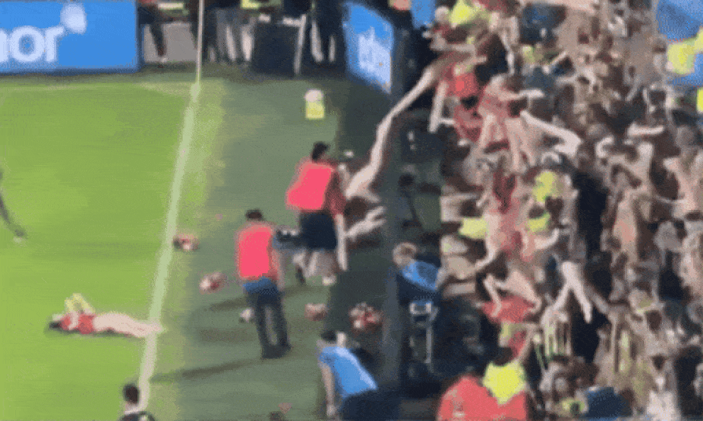 Fan quá khích có thể điên rồ tới mức này: Đem loạt búp bê 