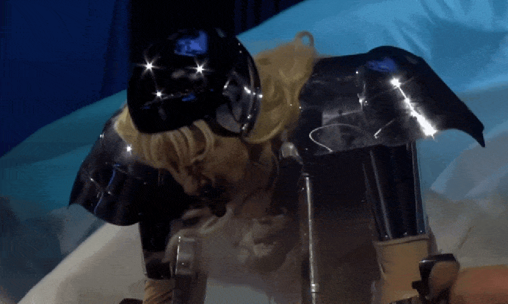 Nữ ca sĩ chạy tour kiếm 8.349 tỷ đồng tuyên bố hủy show 