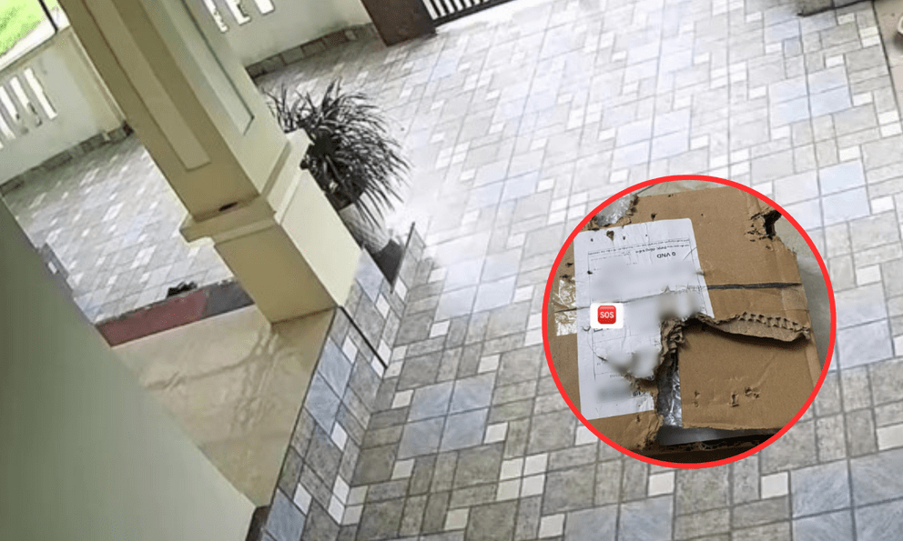 Shipper khẳng định đã giao hàng nhưng chủ nhà tìm mãi không thấy: Đoạn camera an ninh 