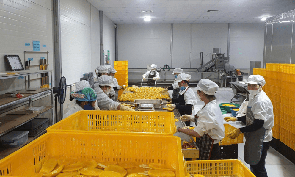 Giá nguyên liệu đã 