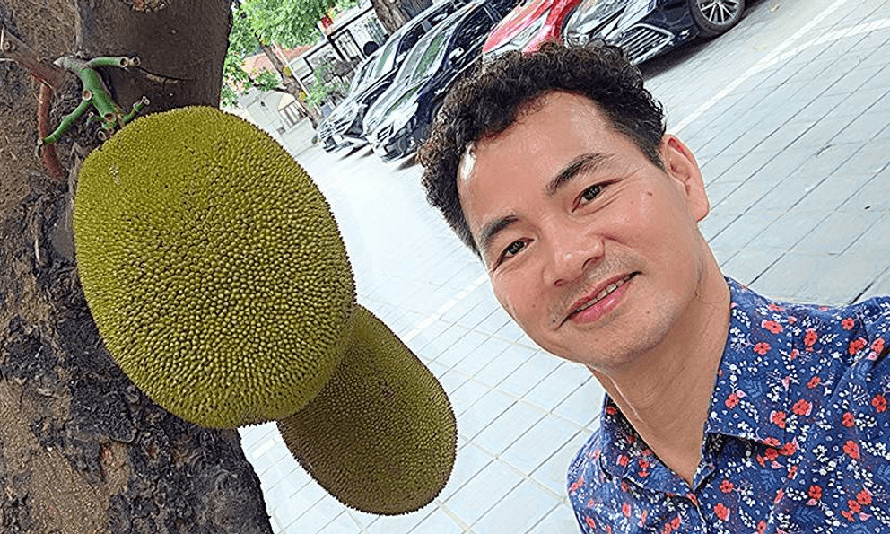 Cây mít nổi tiếng nhất Việt Nam khiến Cục trưởng Xuân Bắc phải đi làm cả cuối tuần để... canh chừng!