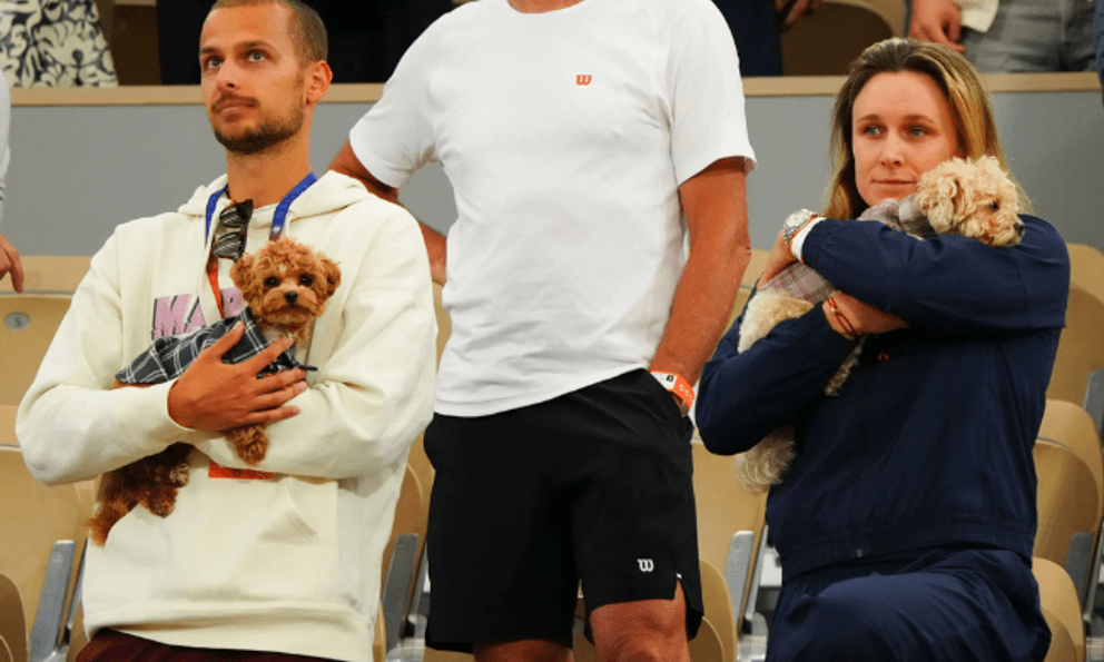 Giải tennis đặc biệt nhất thế giới: Chó cưng có thẻ tác nghiệp riêng, được thuê quản gia riêng, massage và bơi như VIP