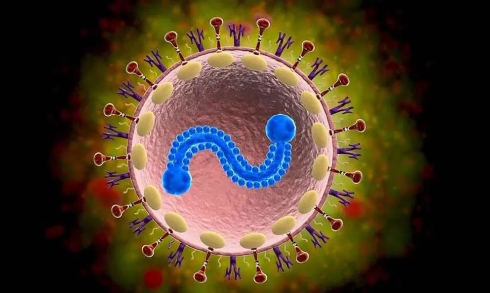 Bác sĩ Bạch Mai cảnh báo: 1 loại virus nhiều người tưởng chỉ trẻ em mới mắc, người già nhiễm dễ viêm phổi, suy hô hấp